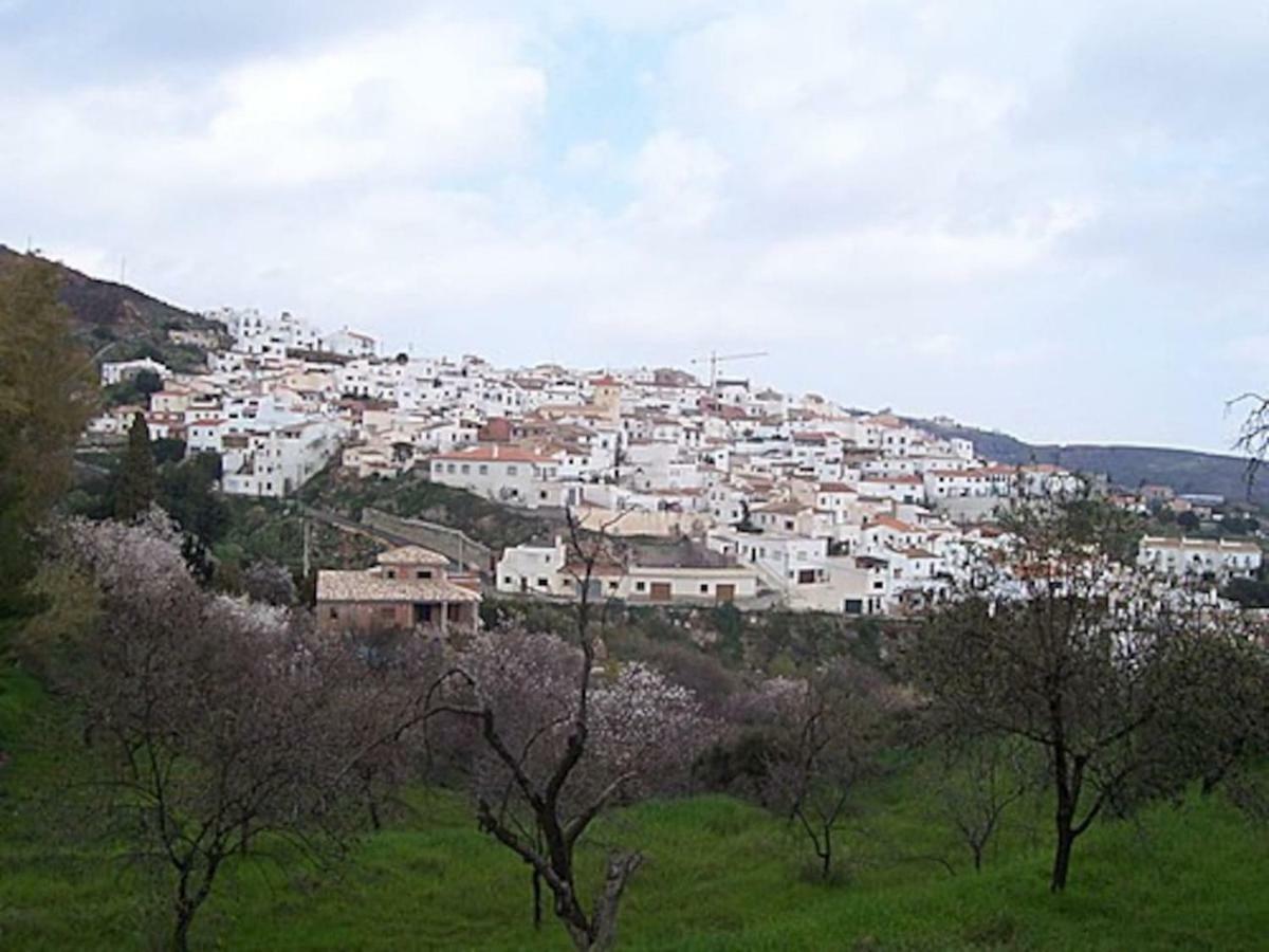 Casita De Pueblo Reformada, Terraza Con Vistas Preciosas Y Parking Privado Lägenhet Bédar Exteriör bild